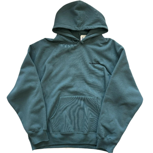 Supreme AOI Hoodie